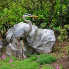 Au Jardin Botanique