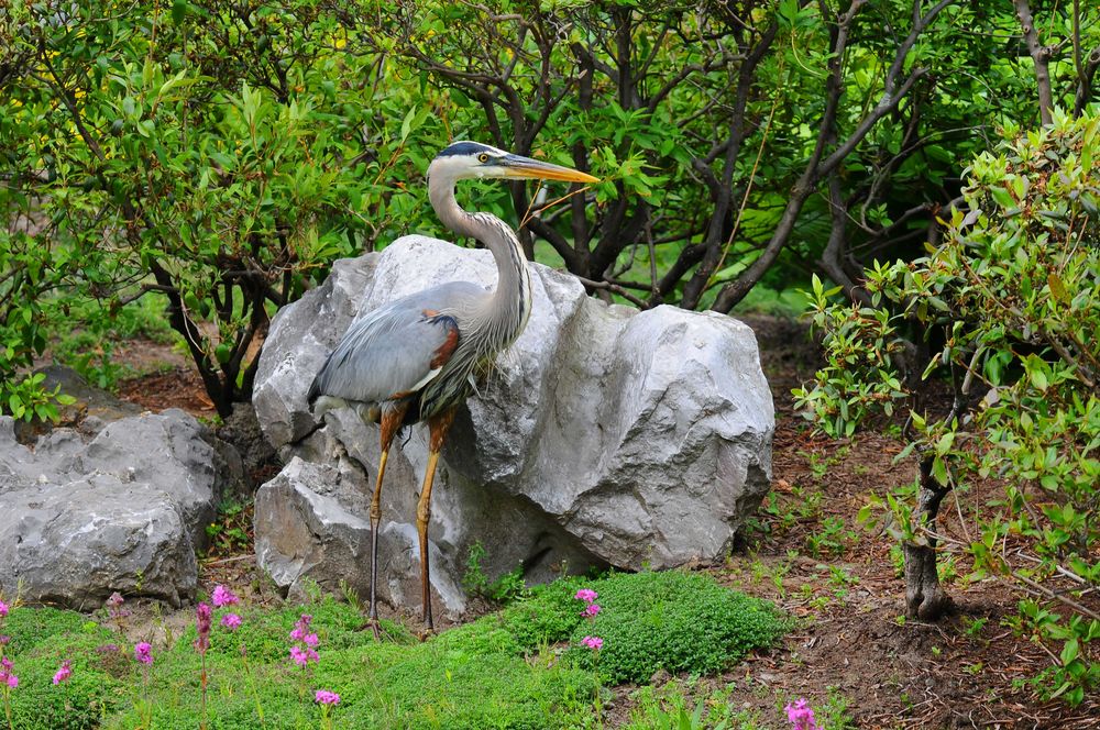 Au Jardin Botanique