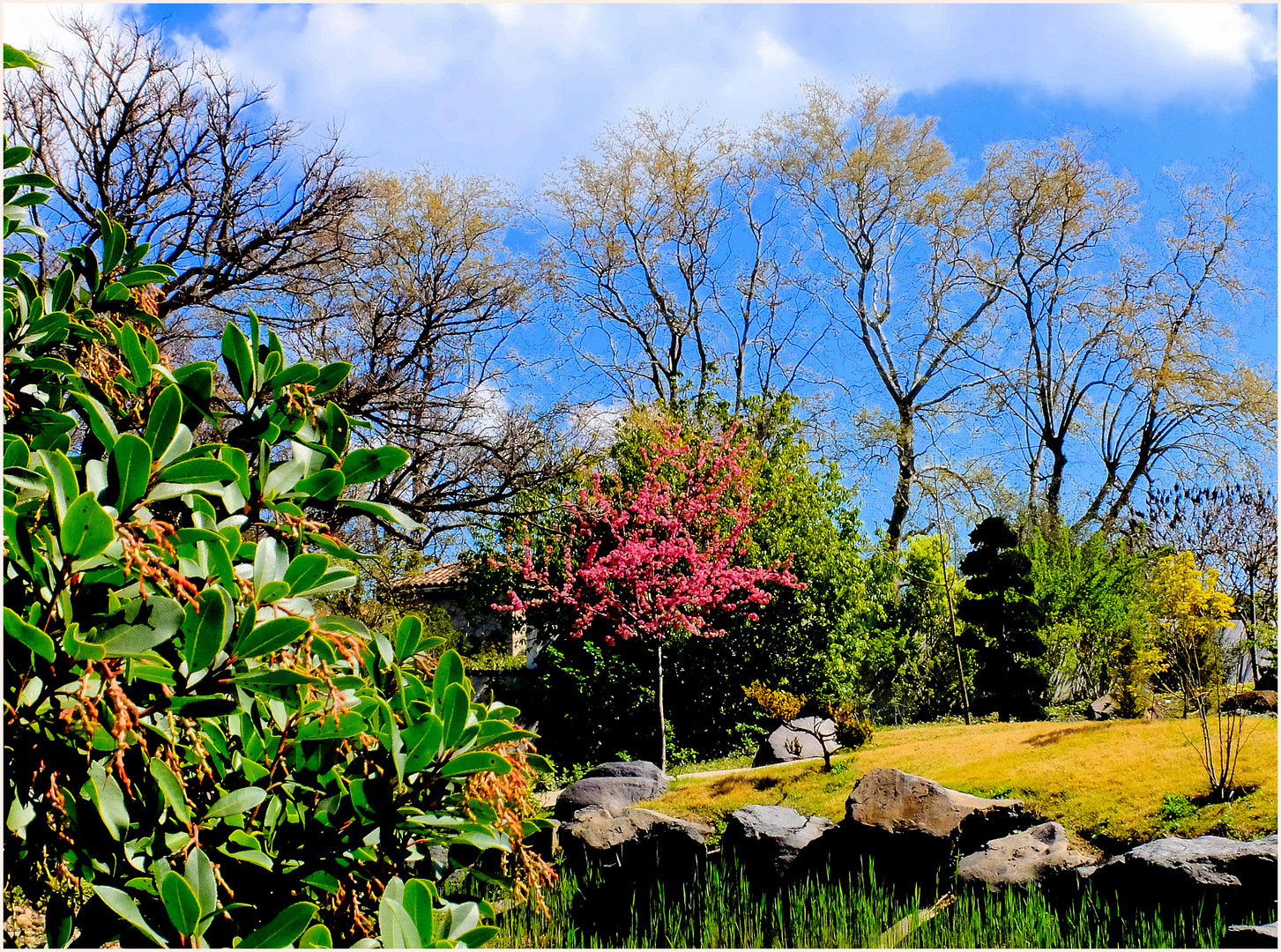 Au jardin botanique