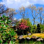 Au jardin botanique