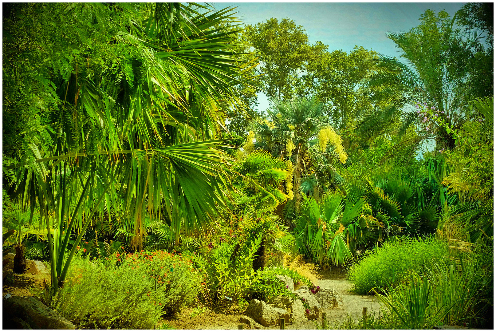 Au jardin botanique (2)