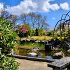 Au jardin botanique