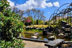 Au jardin botanique