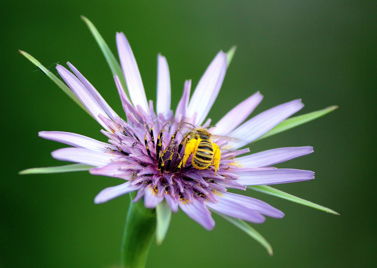 Au Jardin d Epicure.......