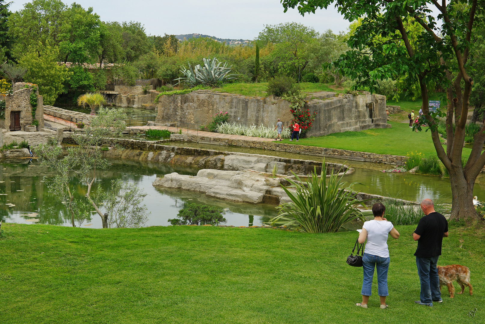 Au jardin de St Adrien