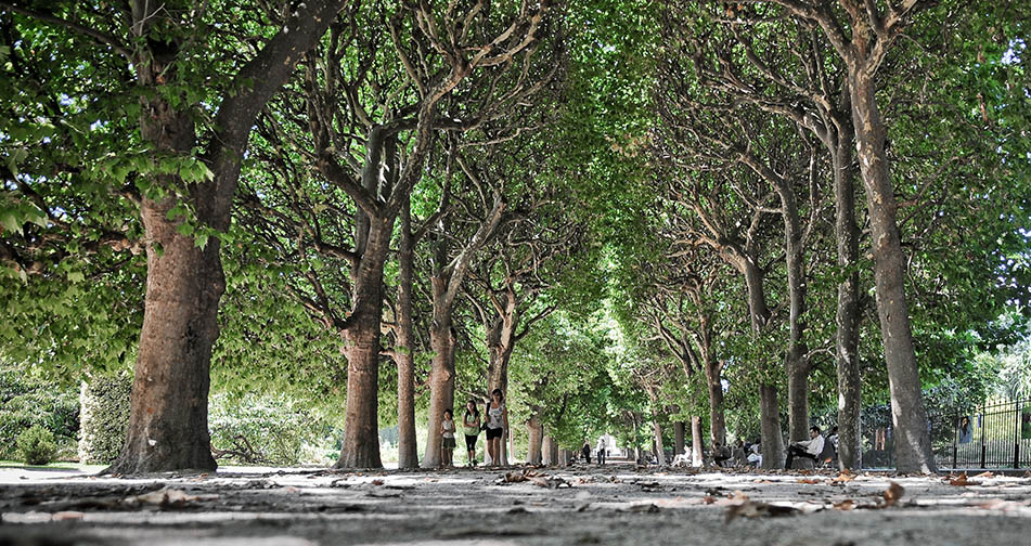 Au Jardin des Plantes 1