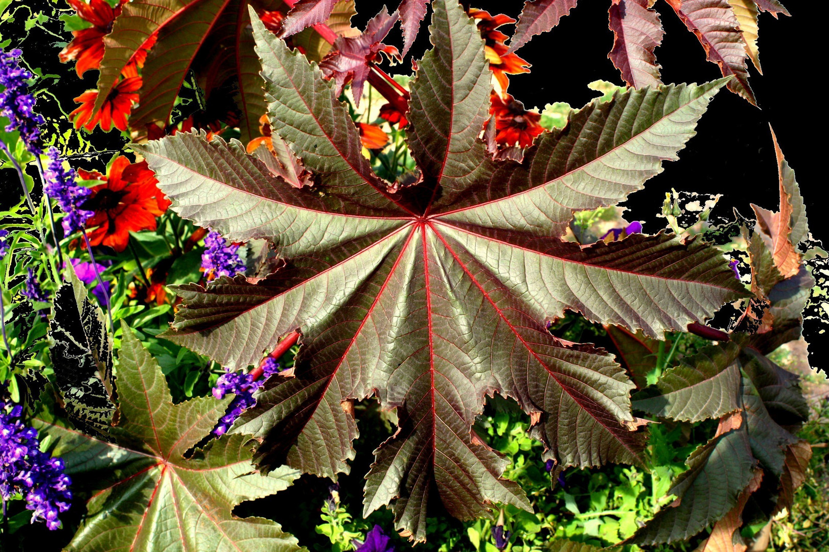 Au jardin des plantes