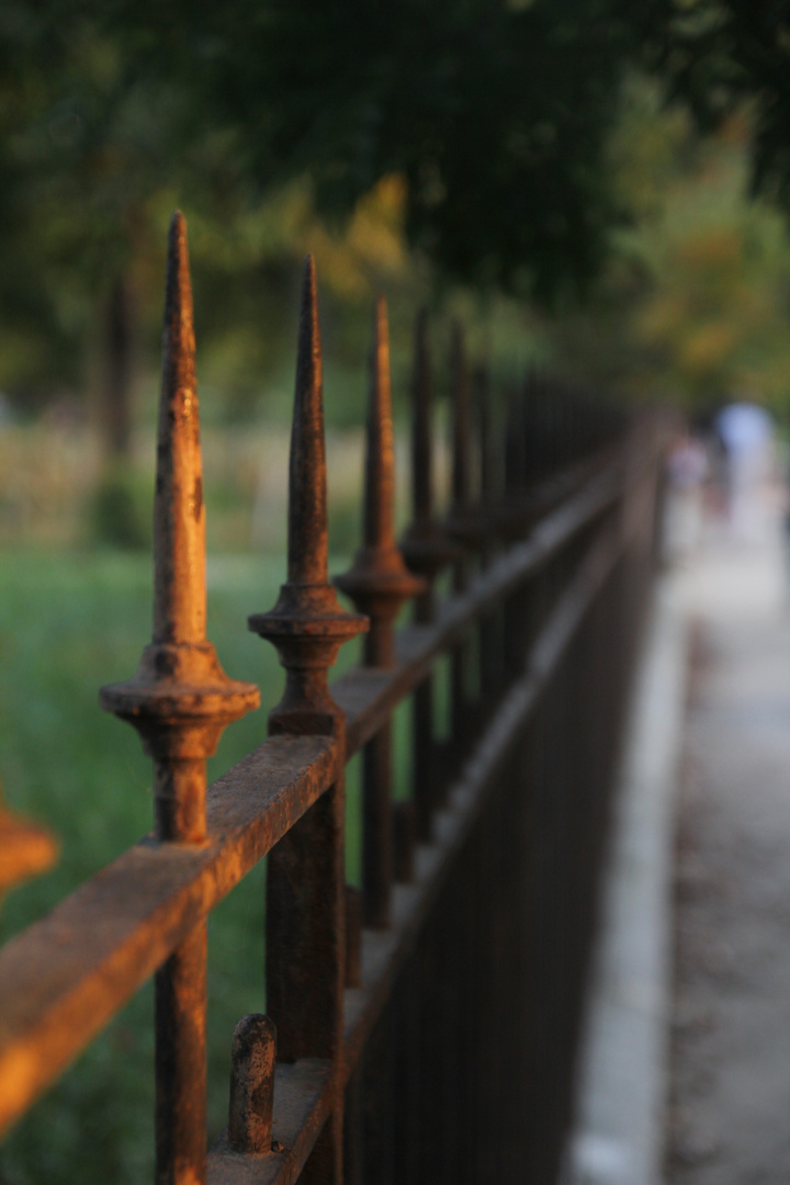 Au jardin des plantes