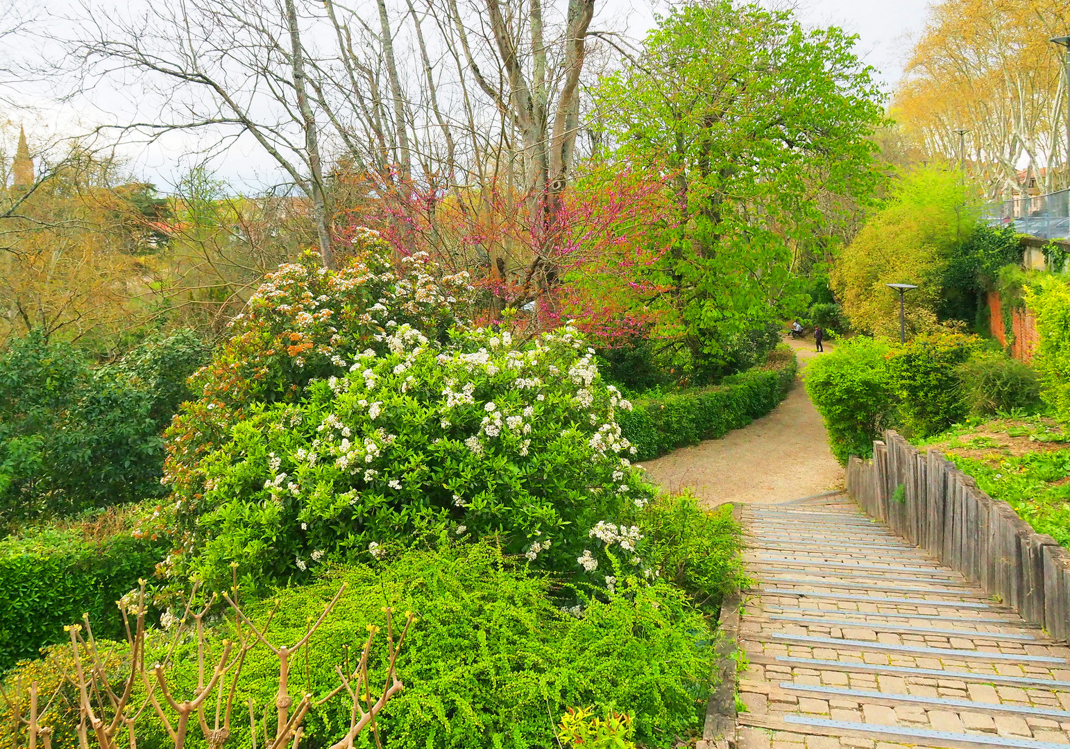 Au Jardin des Plantes de Montauban