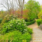 Au Jardin des Plantes de Montauban