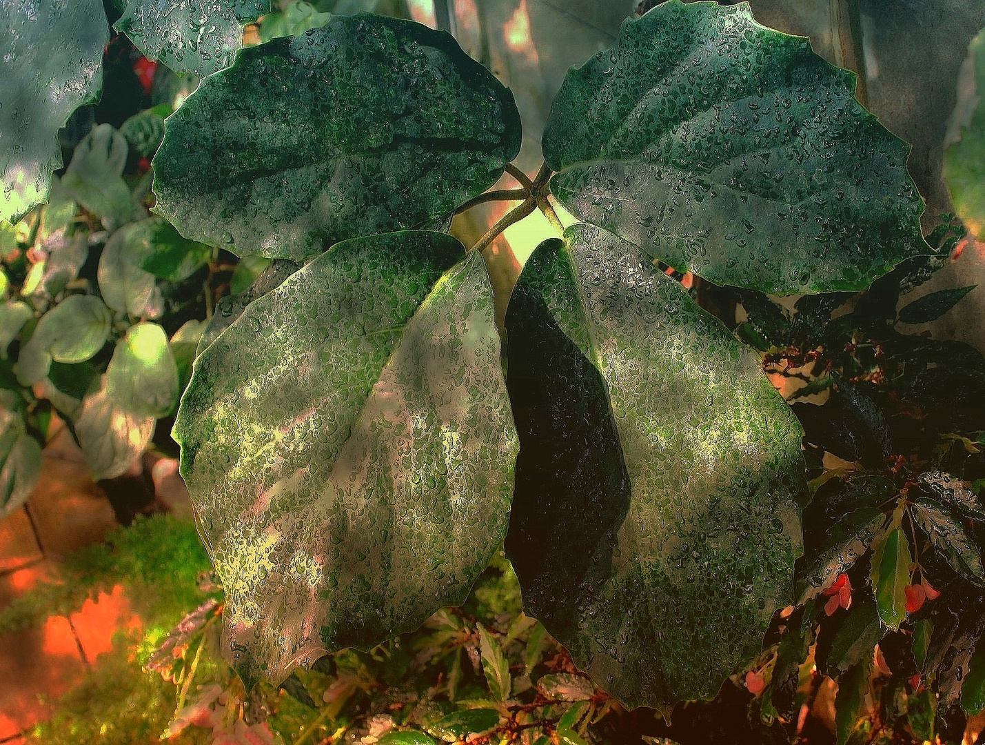 Au jardin des plantes Rouen