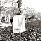 Au jardin du Luxembourg