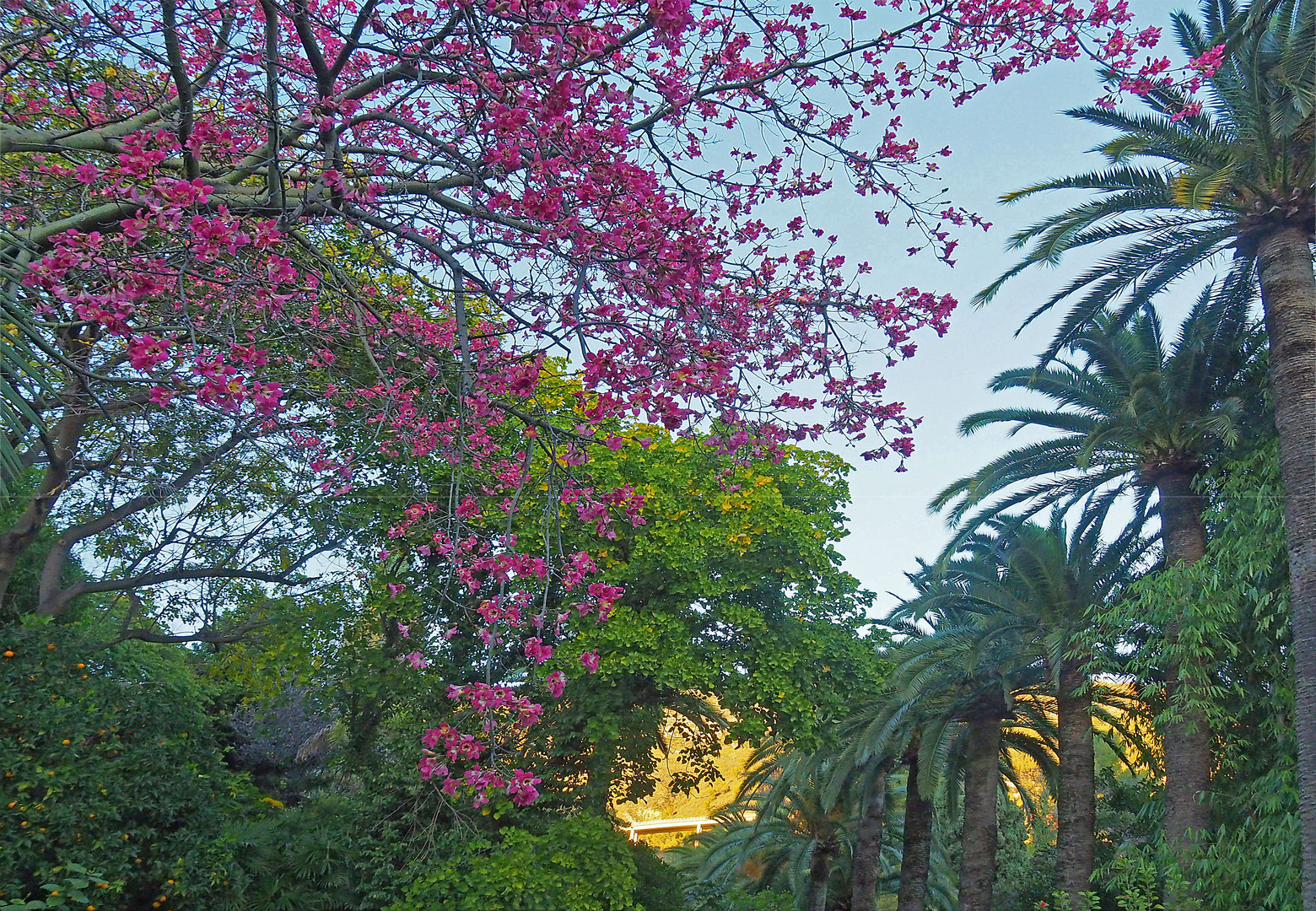 Au Jardin du Val Rahmeh