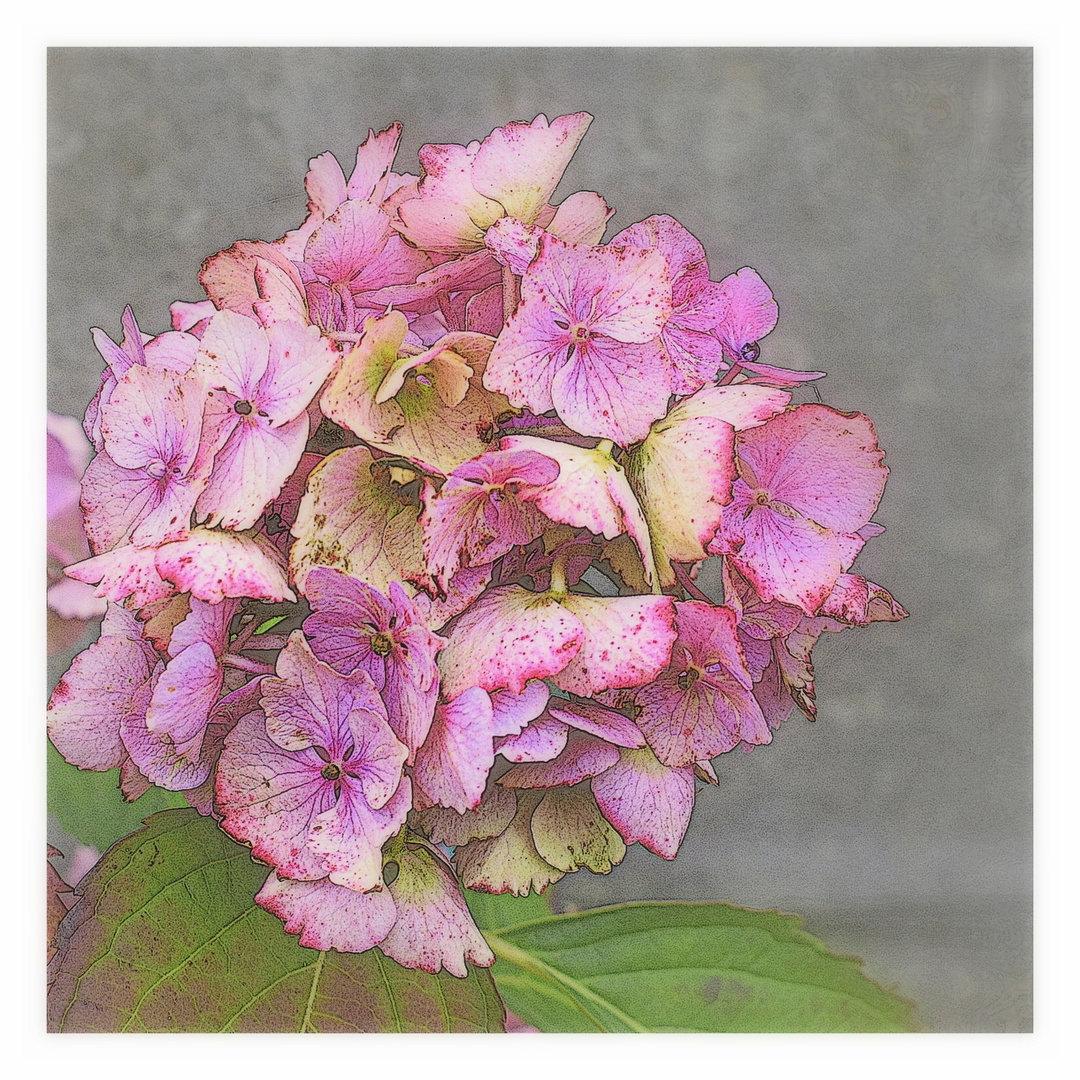 au jardin