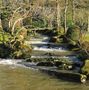 Au jardin japonais de snakel 