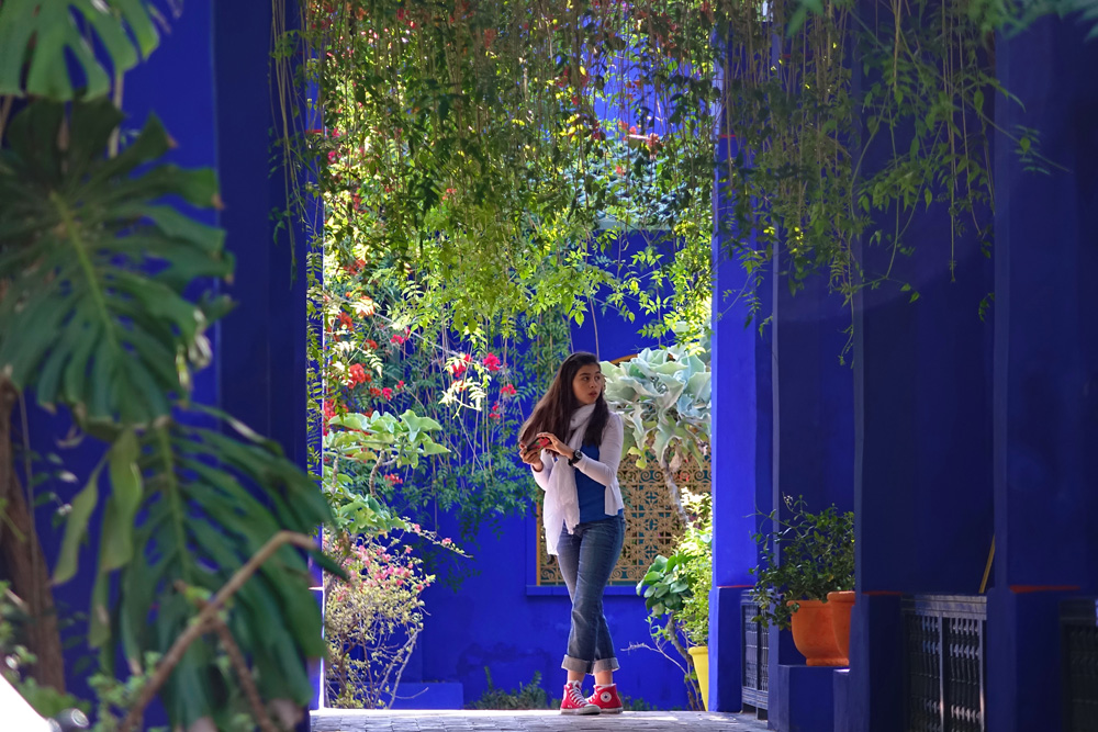 au jardin Majorelle