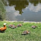 au jardin public de vitré