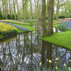 au Keukenhof à Lisse  Pays Bas