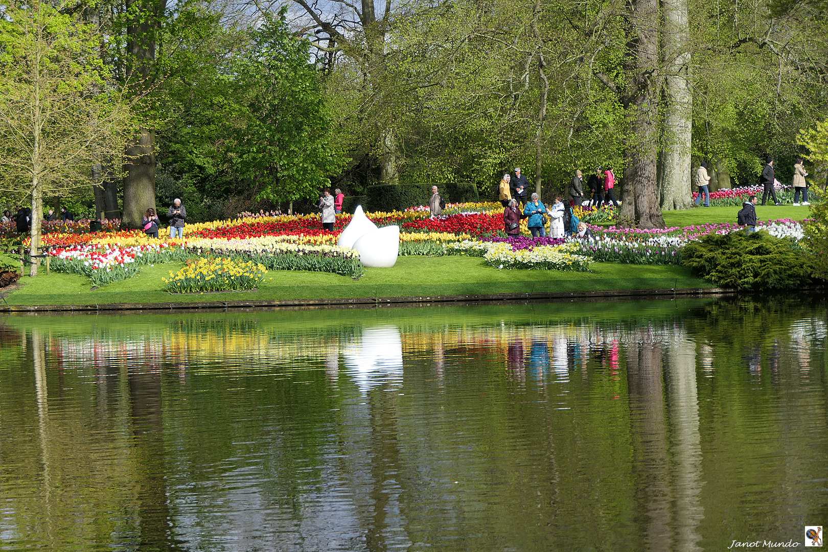 au Keukenhof  Lisse  Hollande