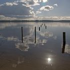 Au lac de Vielle st Girons ( Landes )