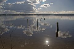 Au lac de Vielle st Girons ( Landes )