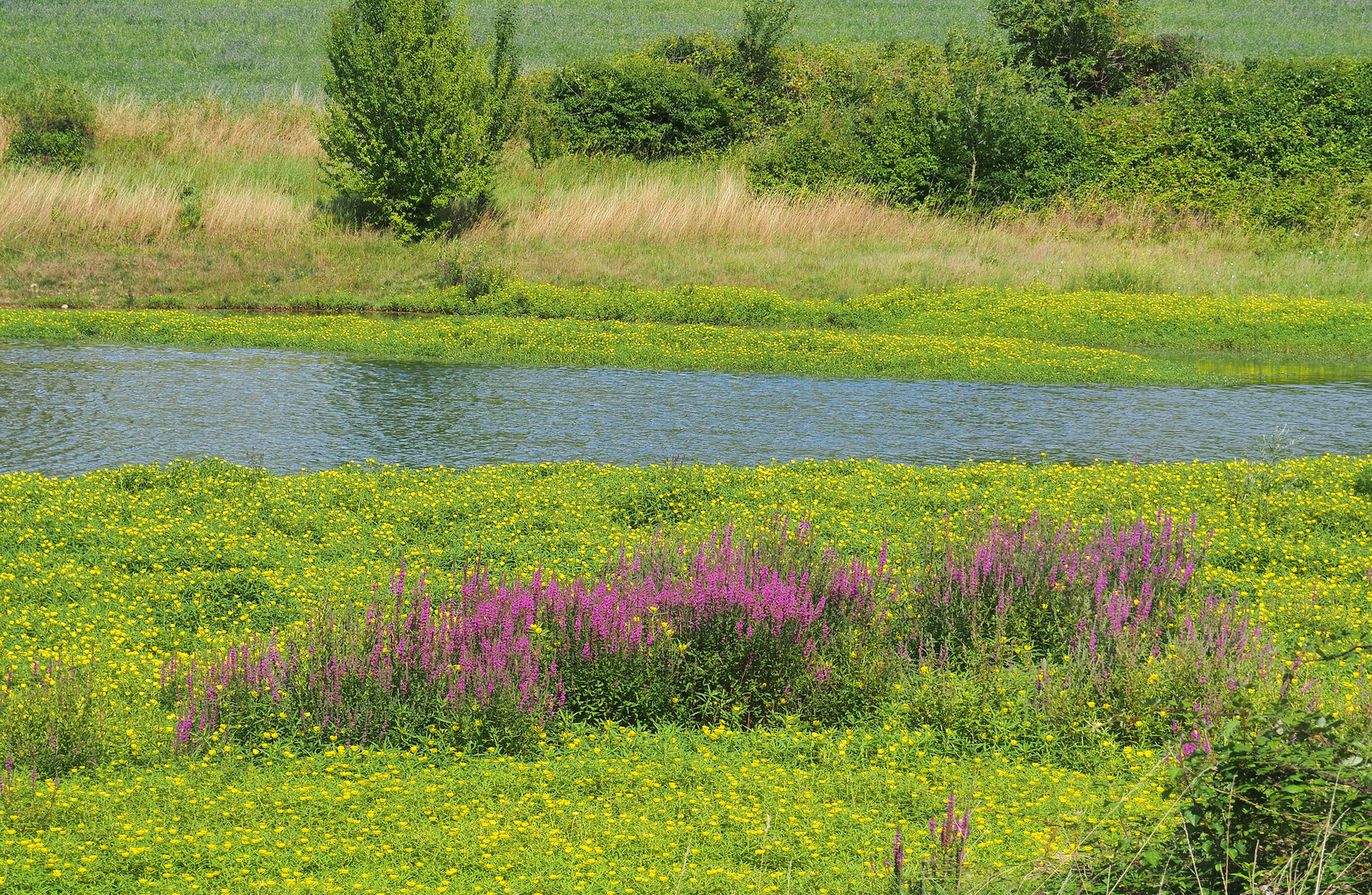 Au lac du Bousquetarra