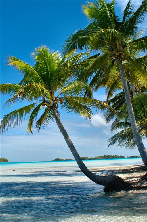 Au Lagon bleu de Rangiroa