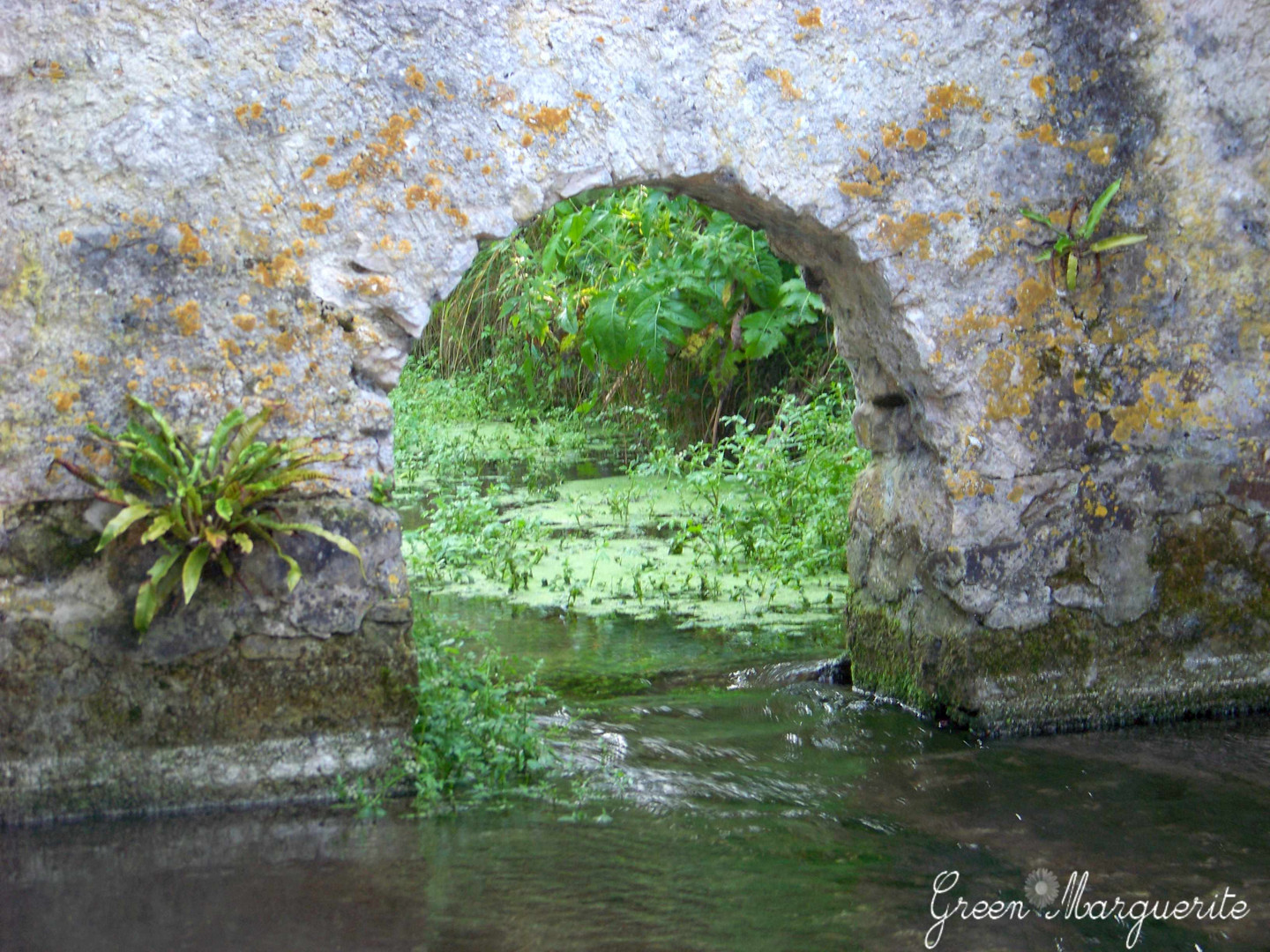 Au lavoir...