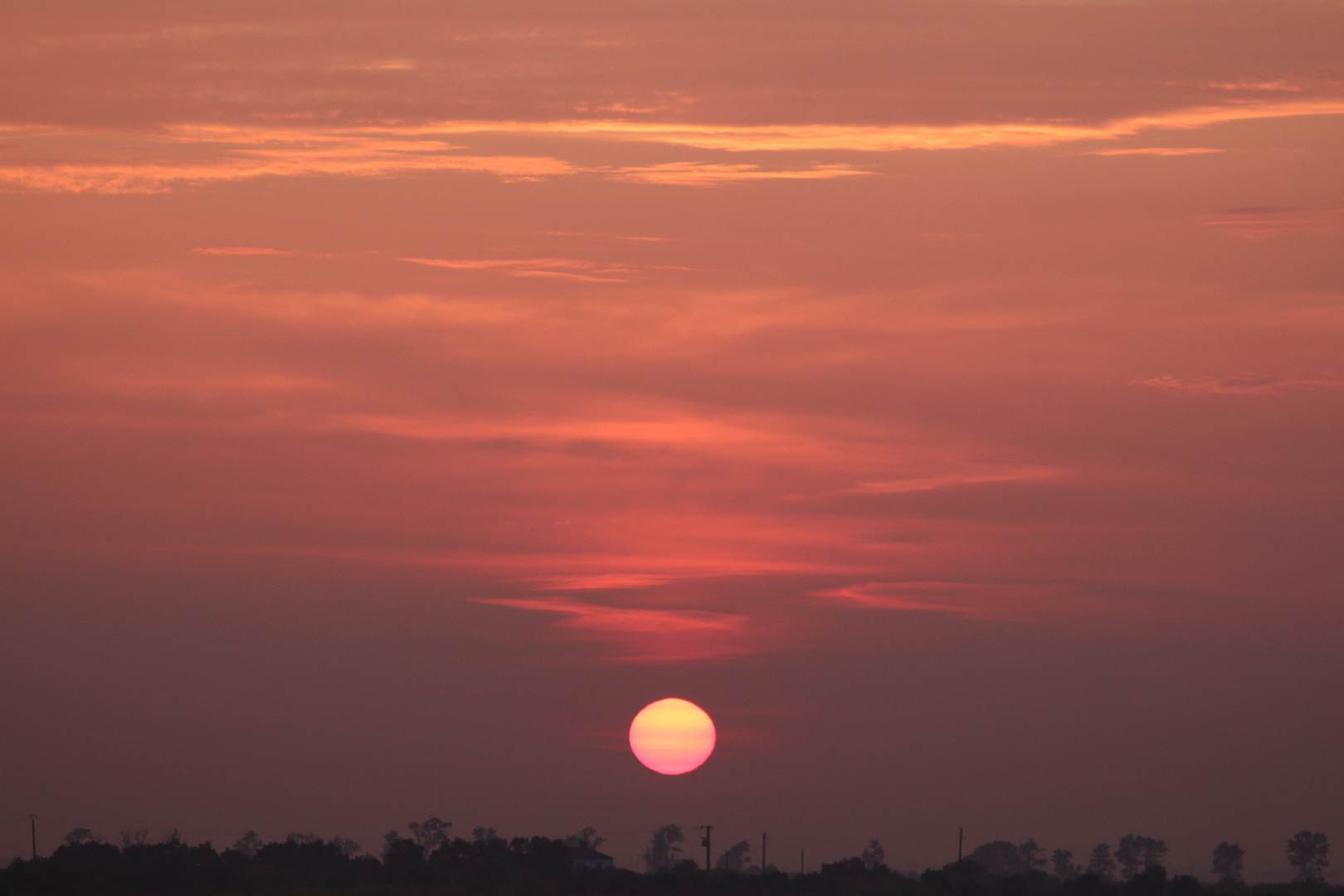 au levée  du  soleil   sur  la charente  maritime ( 17 ) 