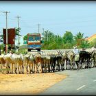 Au long des routes de l'Inde du Sud .- 10 - 