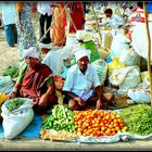 Au long des routes de l'Inde du Sud .-25-