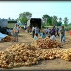 Au long des routes de l'Inde du Sud .- 28 - 