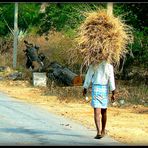 Au long des routes de l'Inde du Sud .- 41 - 