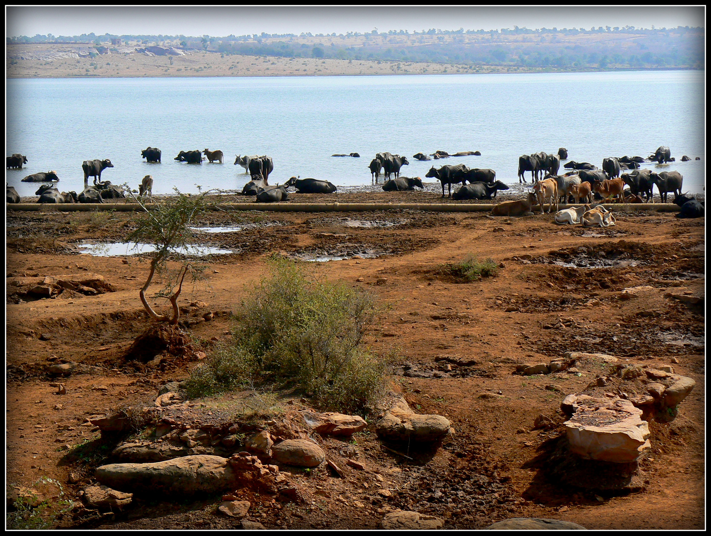 Au long du fleuve 