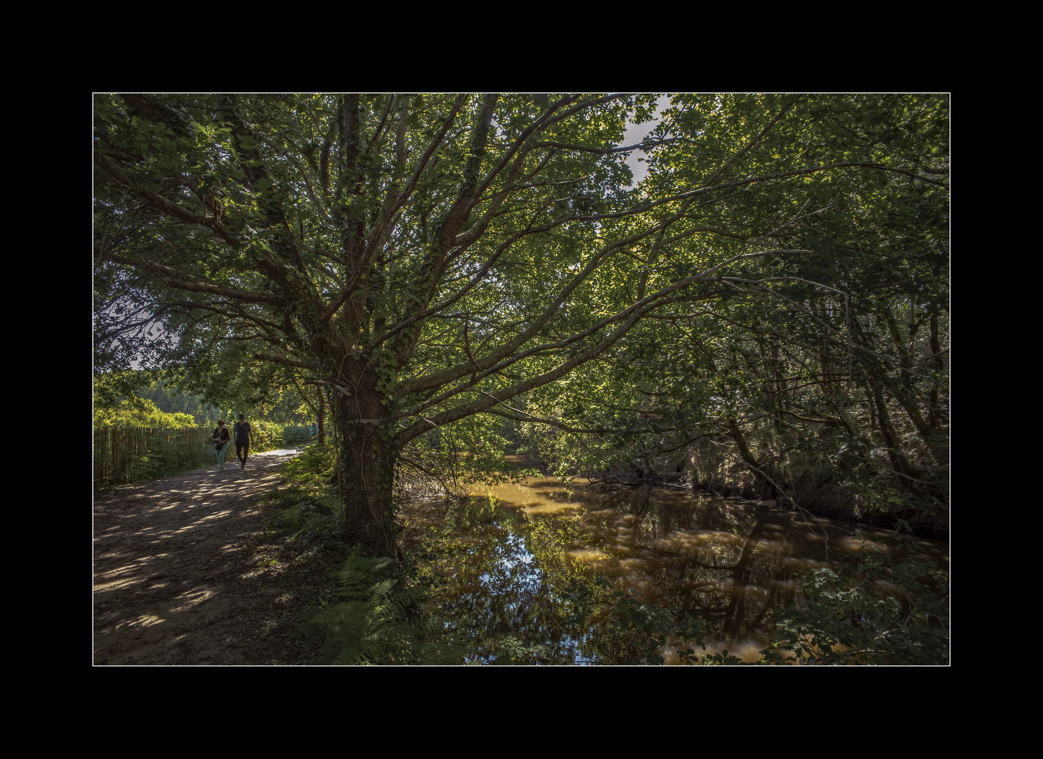 Au marais d'Orx