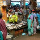 Au marché aux poissons ... / At the fishmarket...