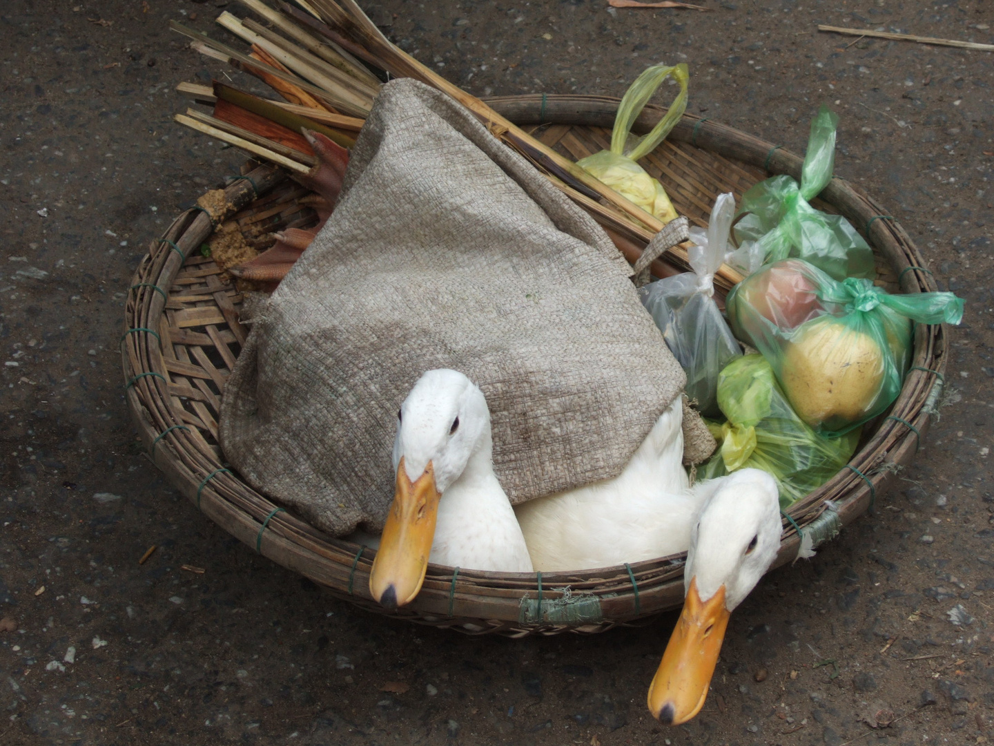 au marché de Hoï An, Vietnam