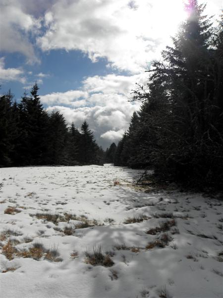 AU massif central A la stelle