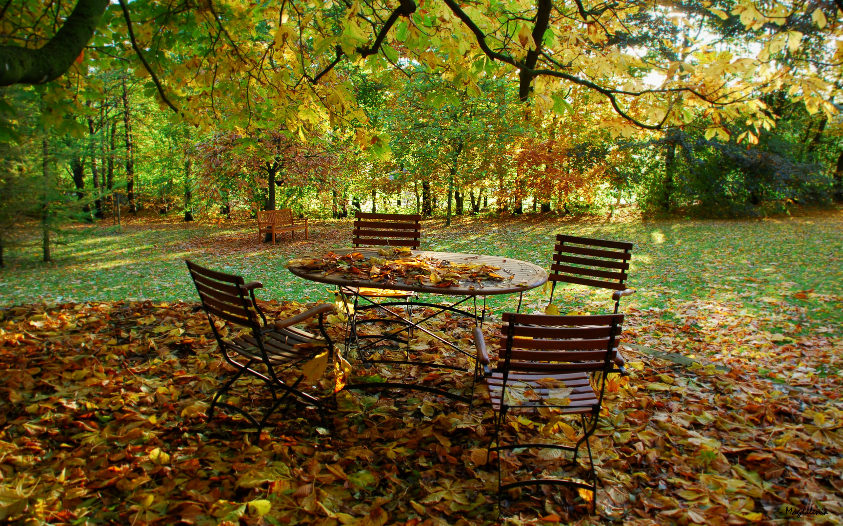 Au menu,feuilles d'automne