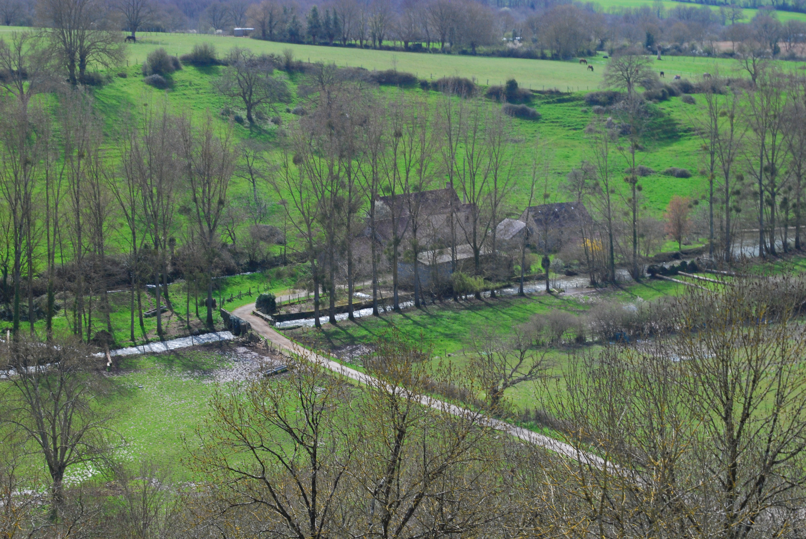 Au milieu coule une rivière