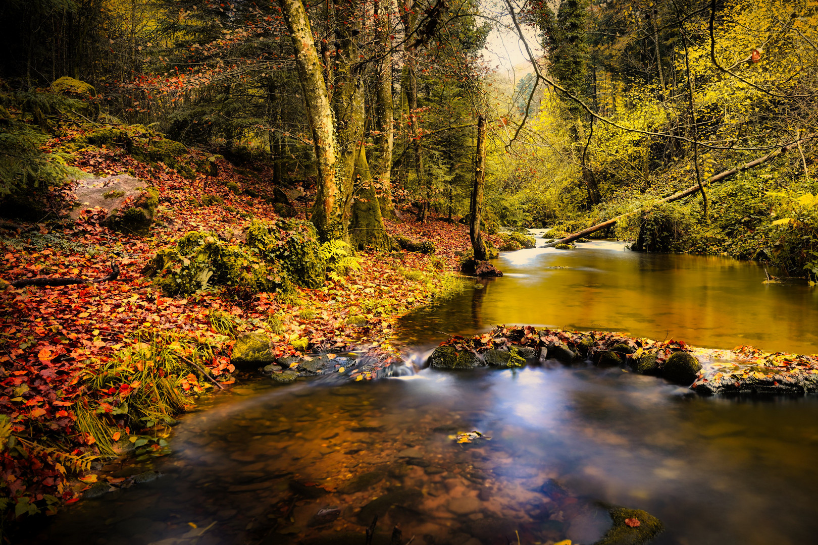 Au milieu coule une rivière