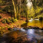 Au milieu coule une rivière