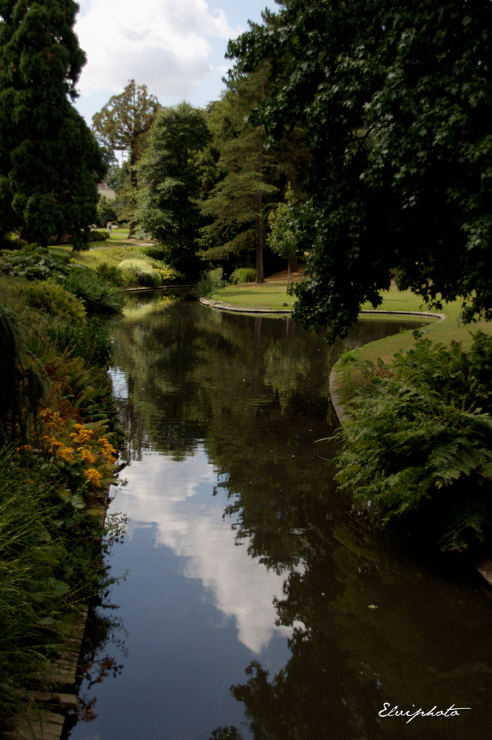 Au milieu coule une rivière