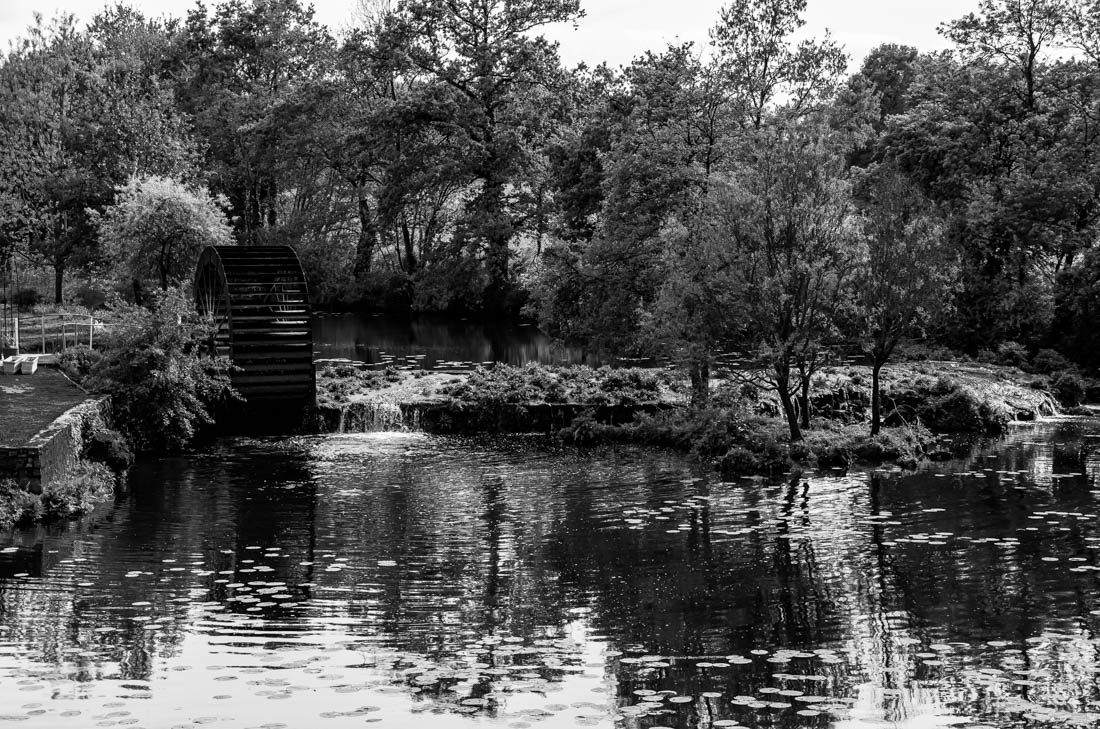 au milieu coule une rivière