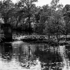 au milieu coule une rivière