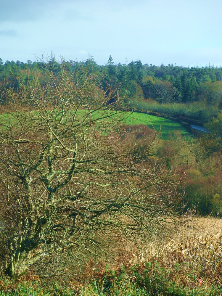 Au milieu coule une rivière