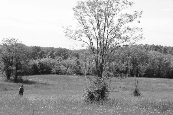 au milieu  des ffleurs !