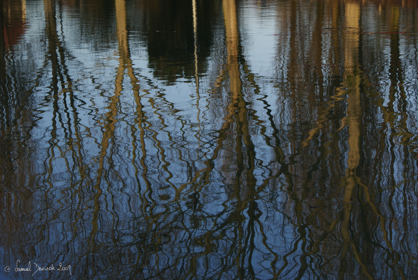 Au milieu des reflets bleus