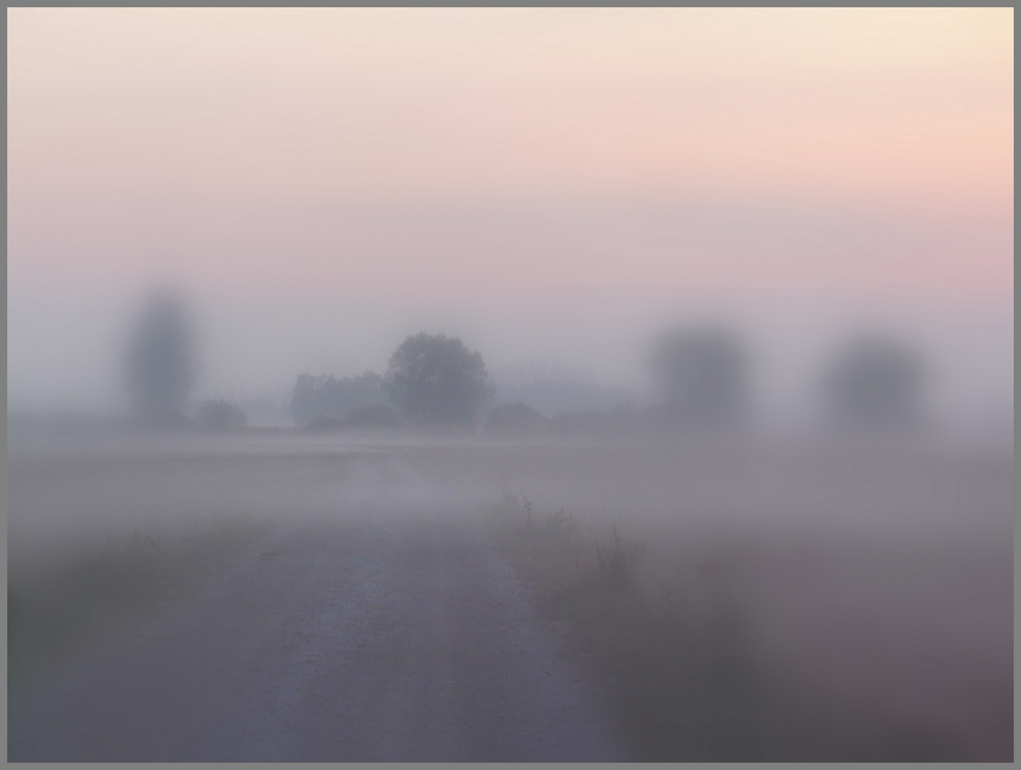 Au milieu du silence ...