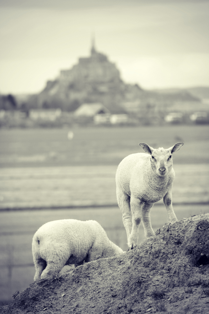 Au Mont-Saint-Michel